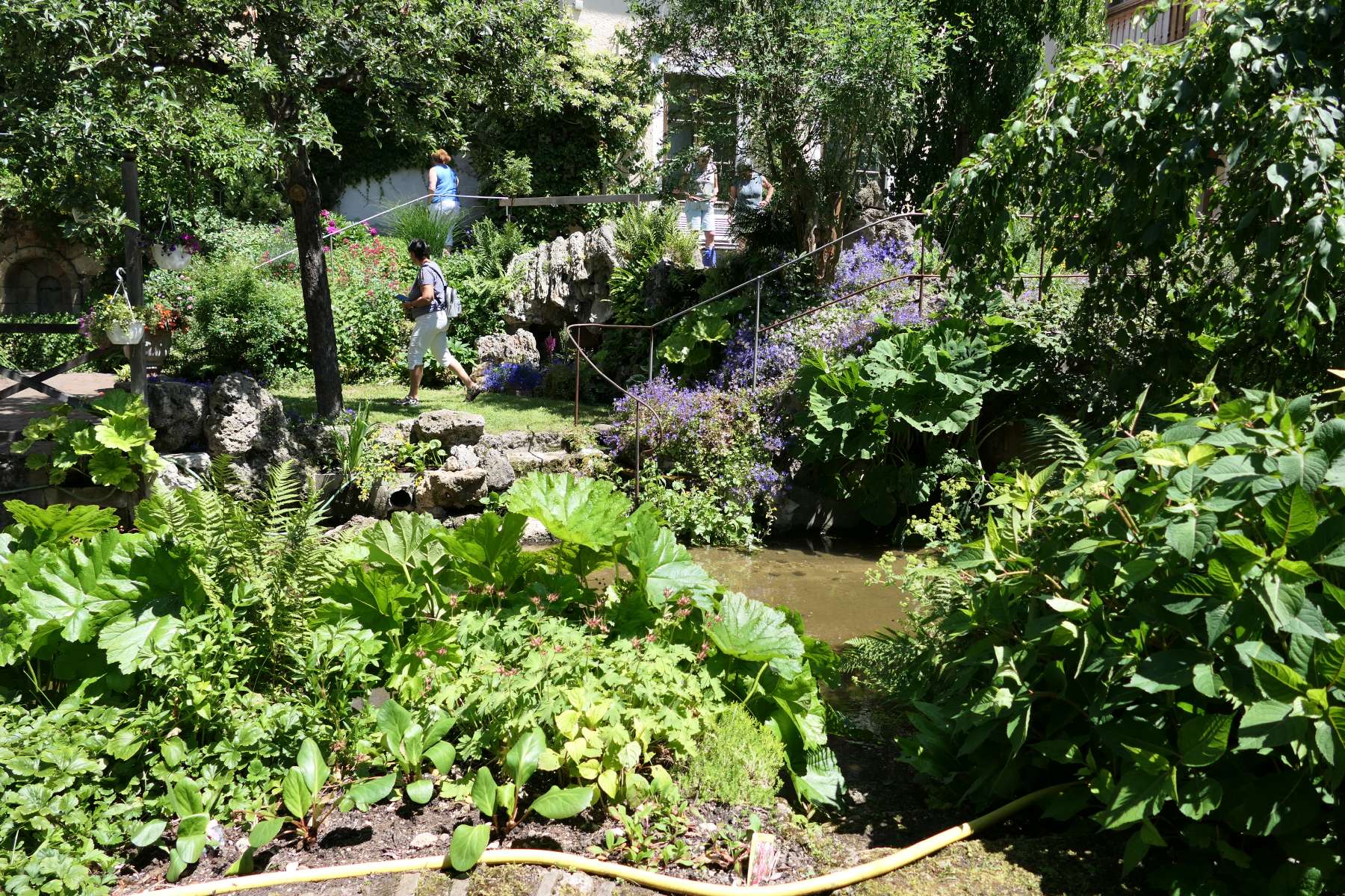 Blick in den Garten mit verschiedenen Ebenen