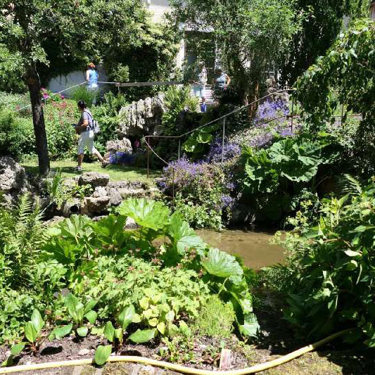 Blick in den Garten mit verschiedenen Ebenen