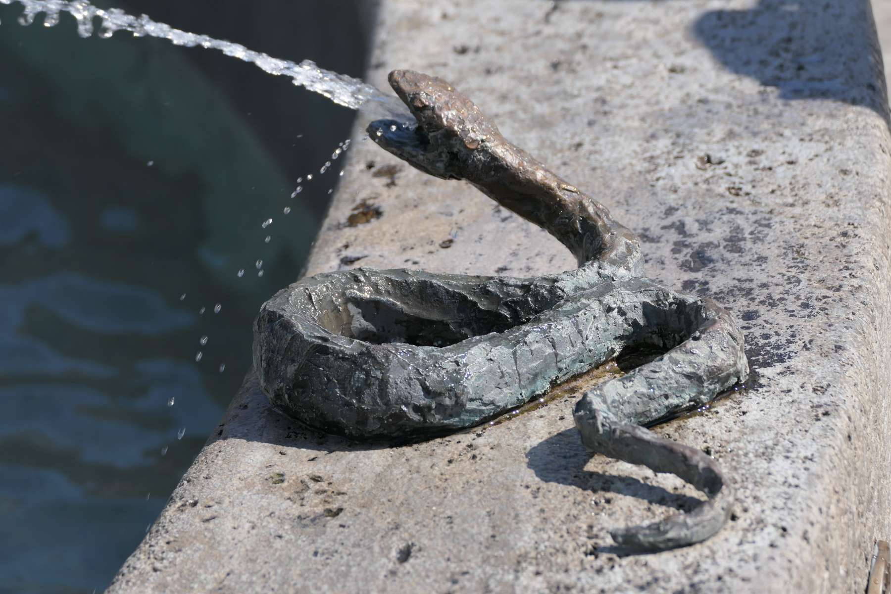 Detail vom Brunnenrand: Wasserspeiende Schlange