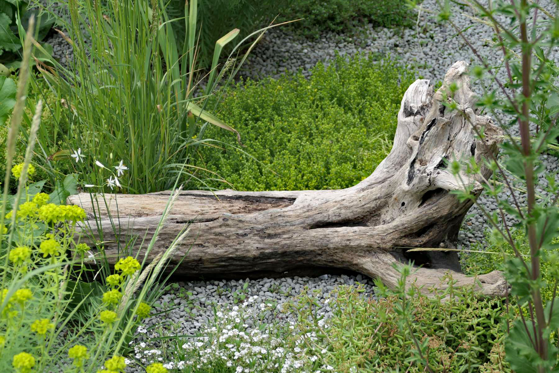 Totholz im Beet