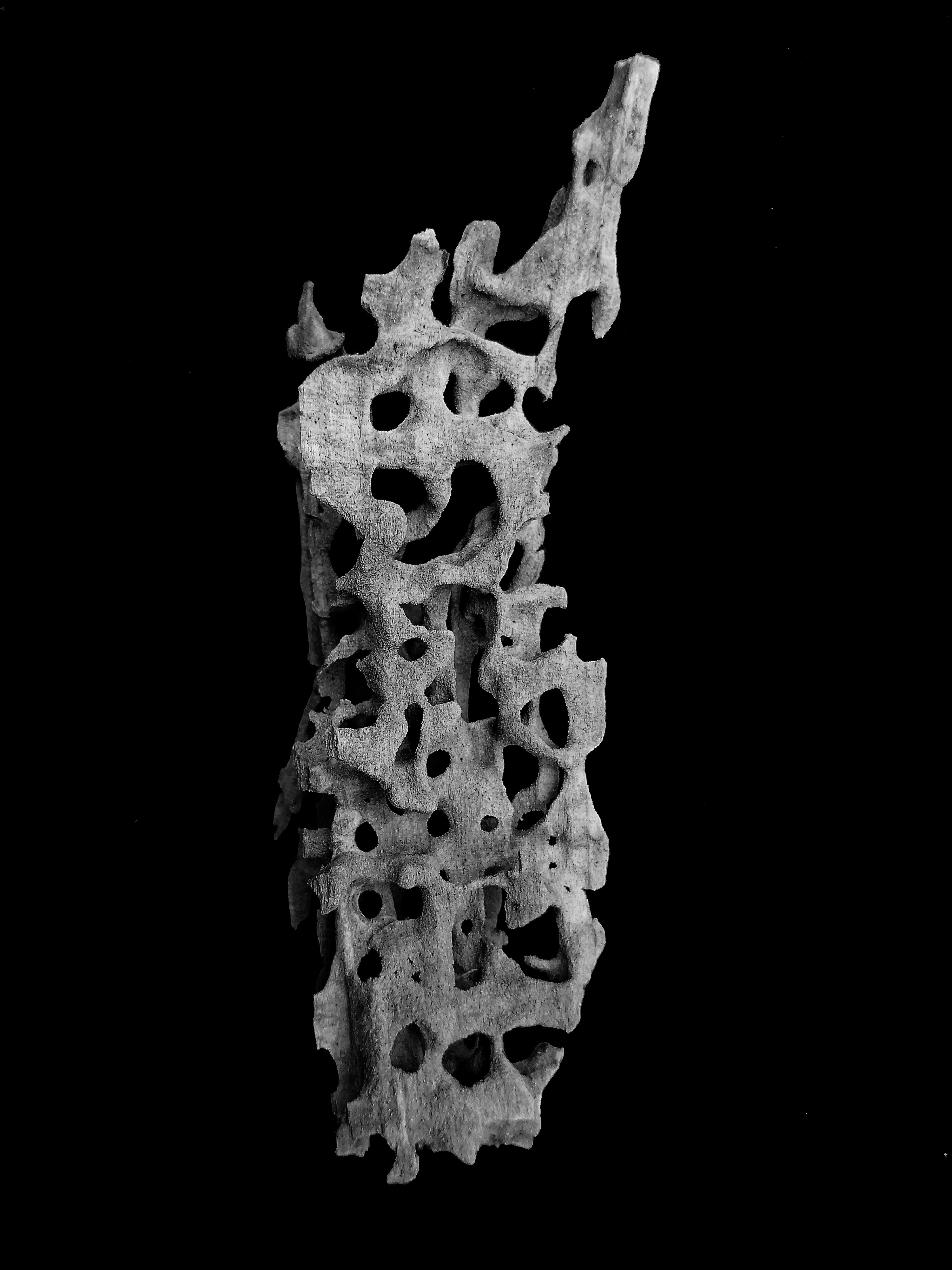 Skulptur aus von Insekten zerfressenem Holz