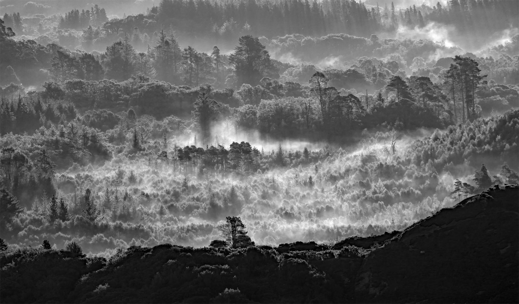 Blick vom Barley-Lake nach Glengarriff im Nebelmorgen