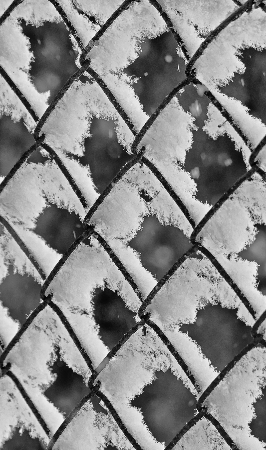 Maschendrahtzaun mit Schnee