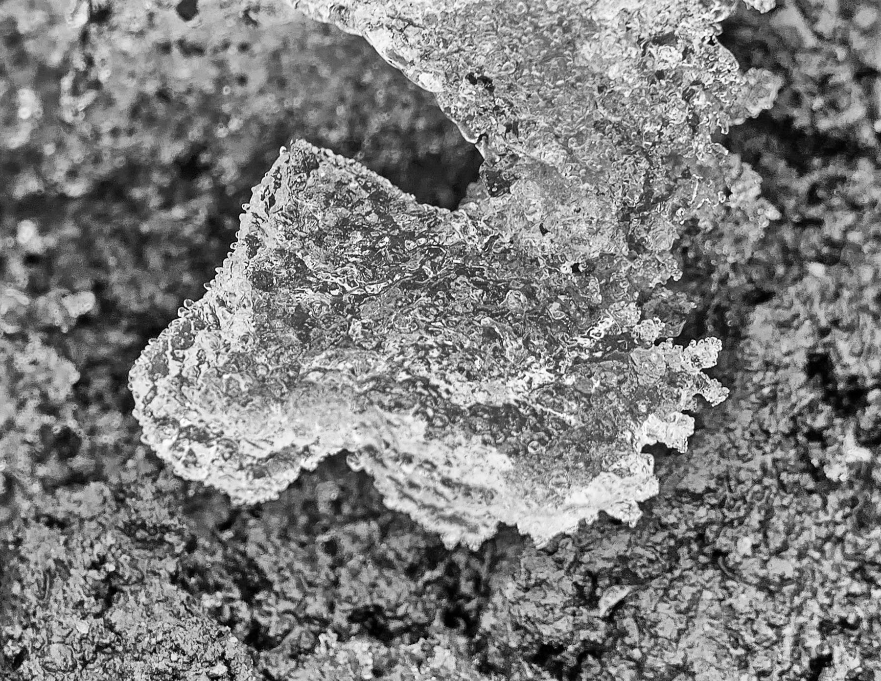 Eiskruste auf dem Weg