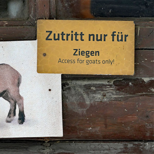 Schild: Zutritt nur für Ziegen