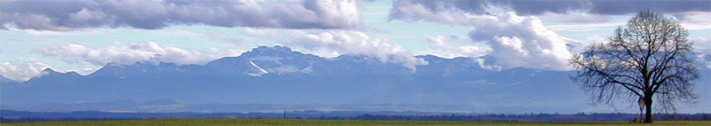 Hintergrundbild mit Bergpanorama und einem Baum